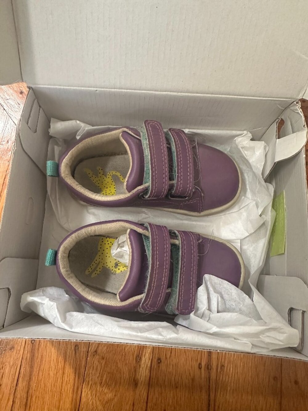 Purple and Green Baby Walker Shoes